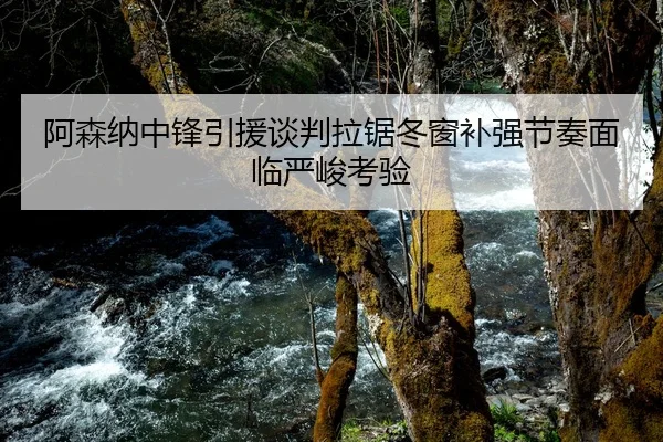 阿森纳中锋引援谈判拉锯冬窗补强节奏面临严峻考验